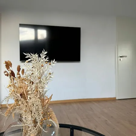 Family And Business Three Apartment Mannheim