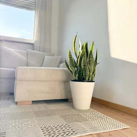 Apartment Family&business Three