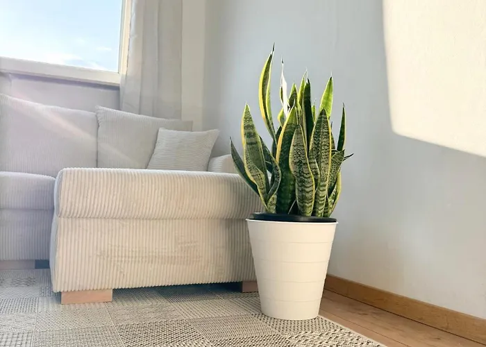 Daire Family And Business Three